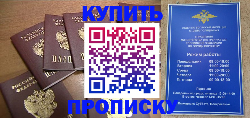 прописка 2025 в Вологде